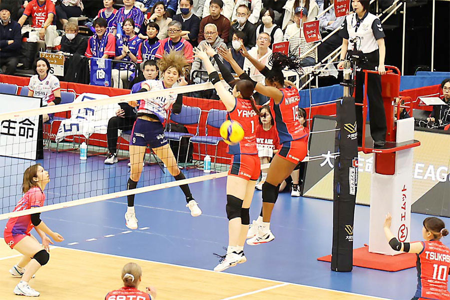 ブルーキャッツ観戦記 