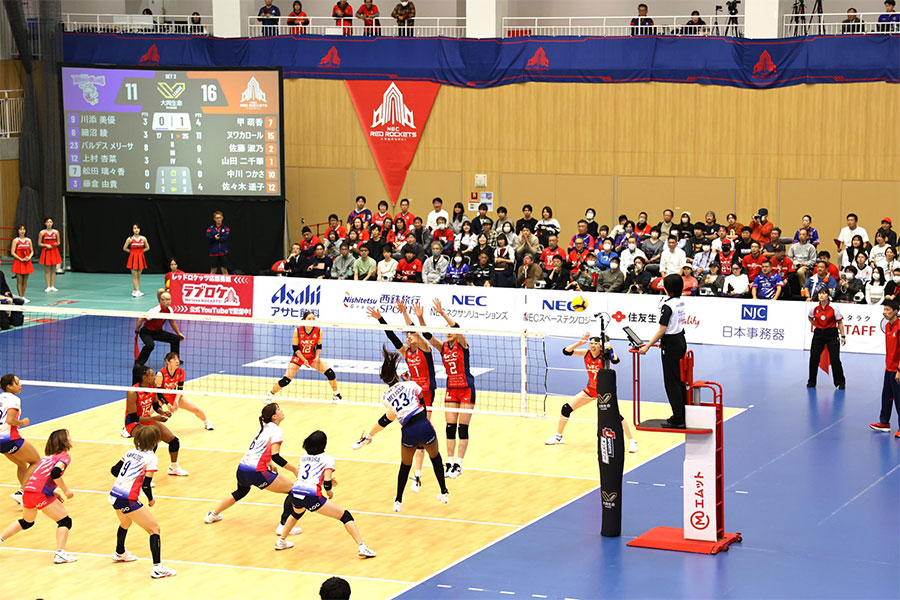 ブルーキャッツ観戦記 